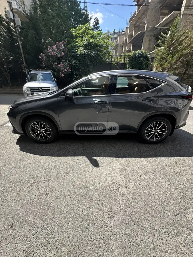 Lexus NX 250