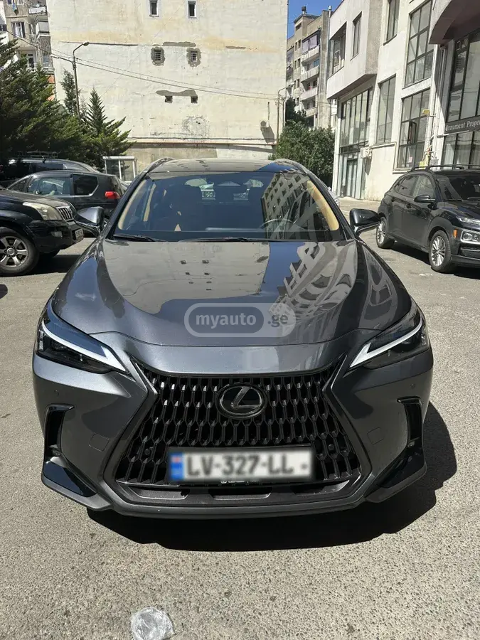 Lexus NX 250 2023 — photo 2