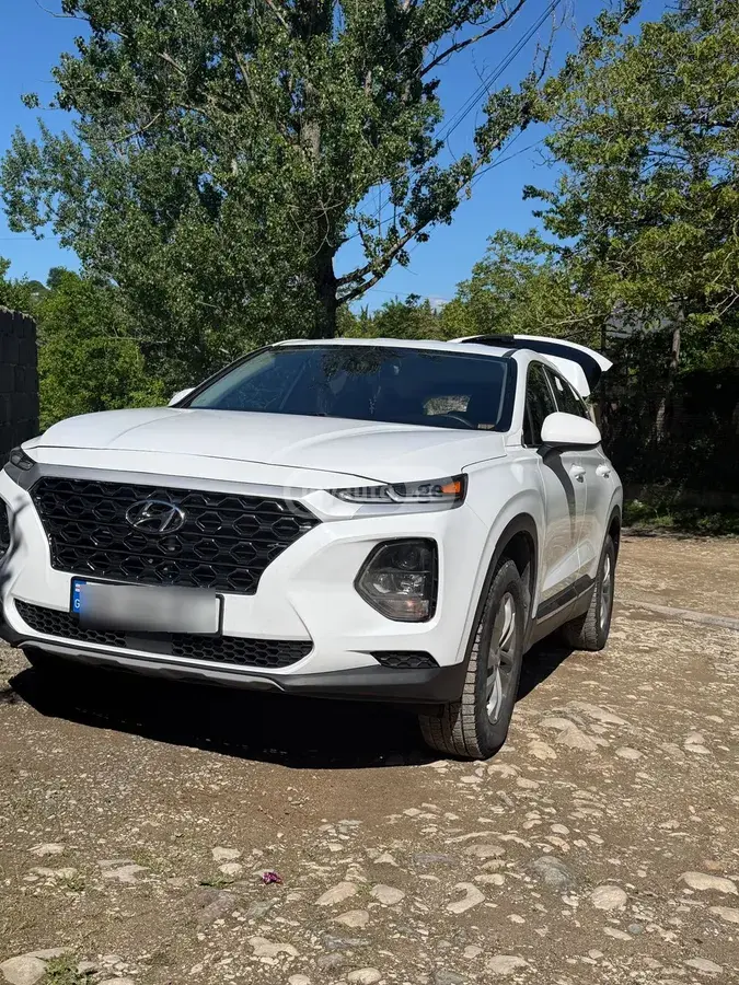 Hyundai Santa Fe 2019 — photo 2