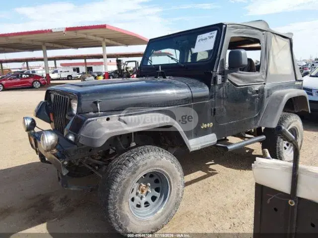 Jeep Wrangler 1995 — photo 2
