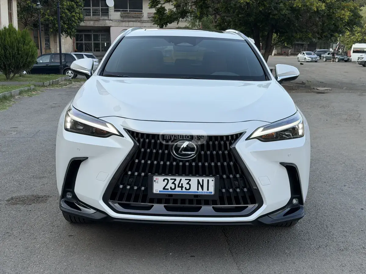 Lexus NX 250 2025 — photo 2