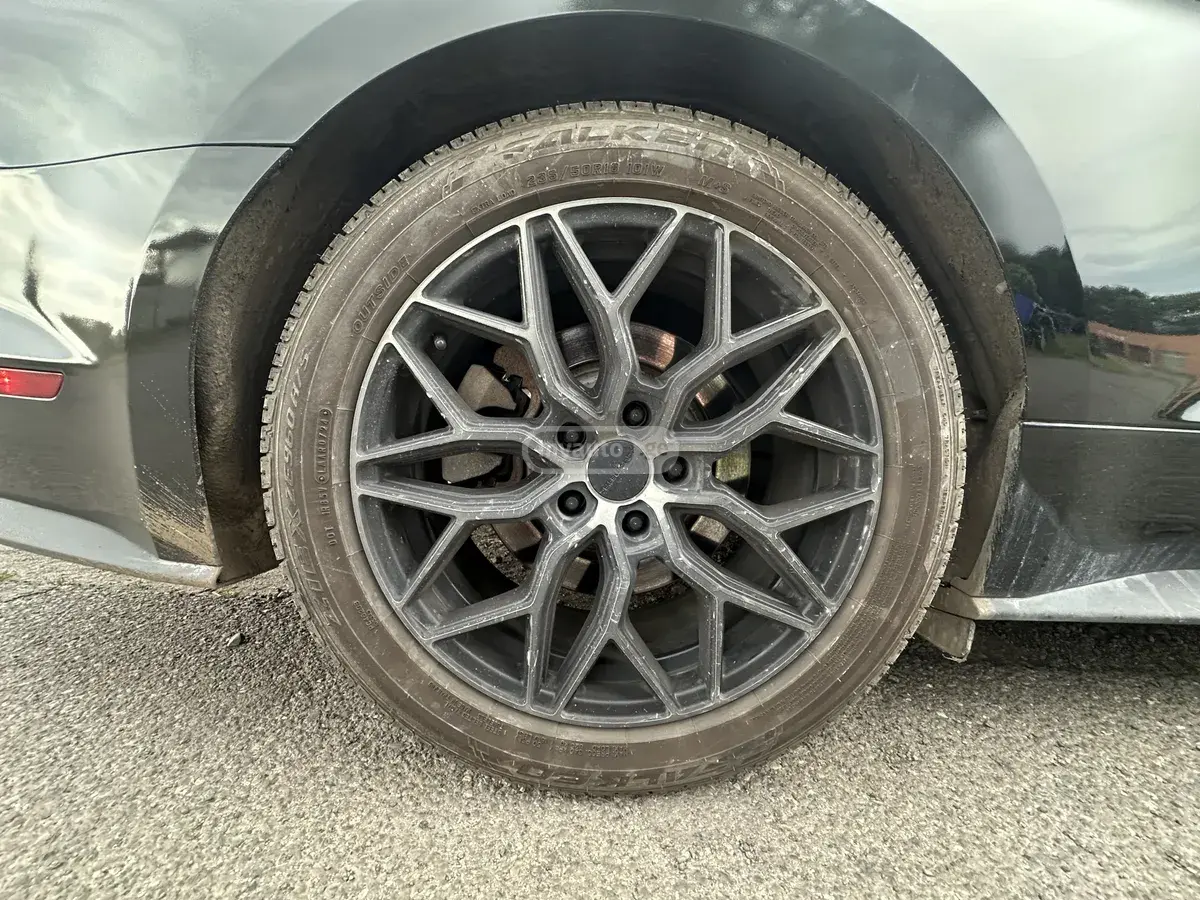 Ford Mustang 2015 — photo 2
