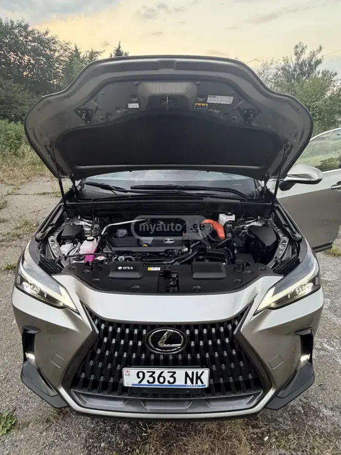 Lexus NX 350 2022 — photo 2