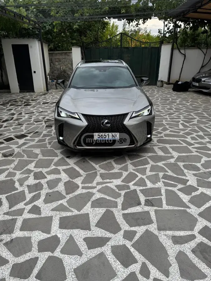 Lexus UX 250 h
