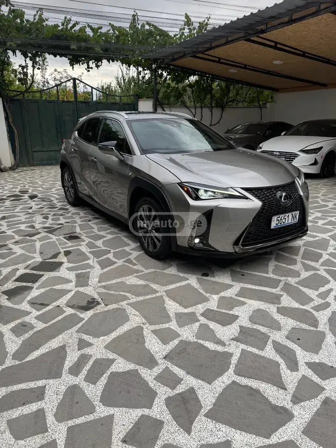 Lexus UX 250 h 2019 — photo 2