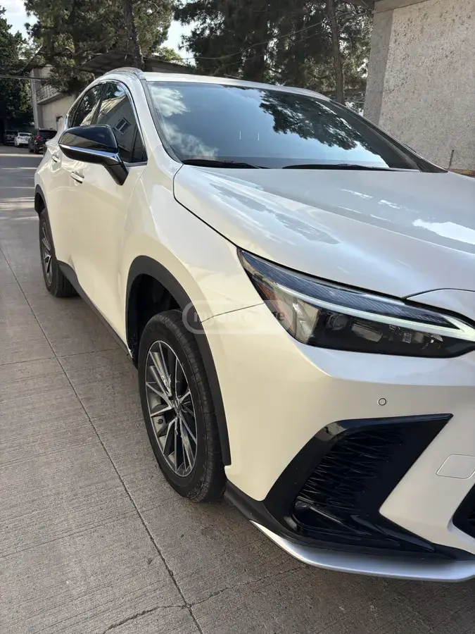 Lexus NX 350 2023 — photo 2