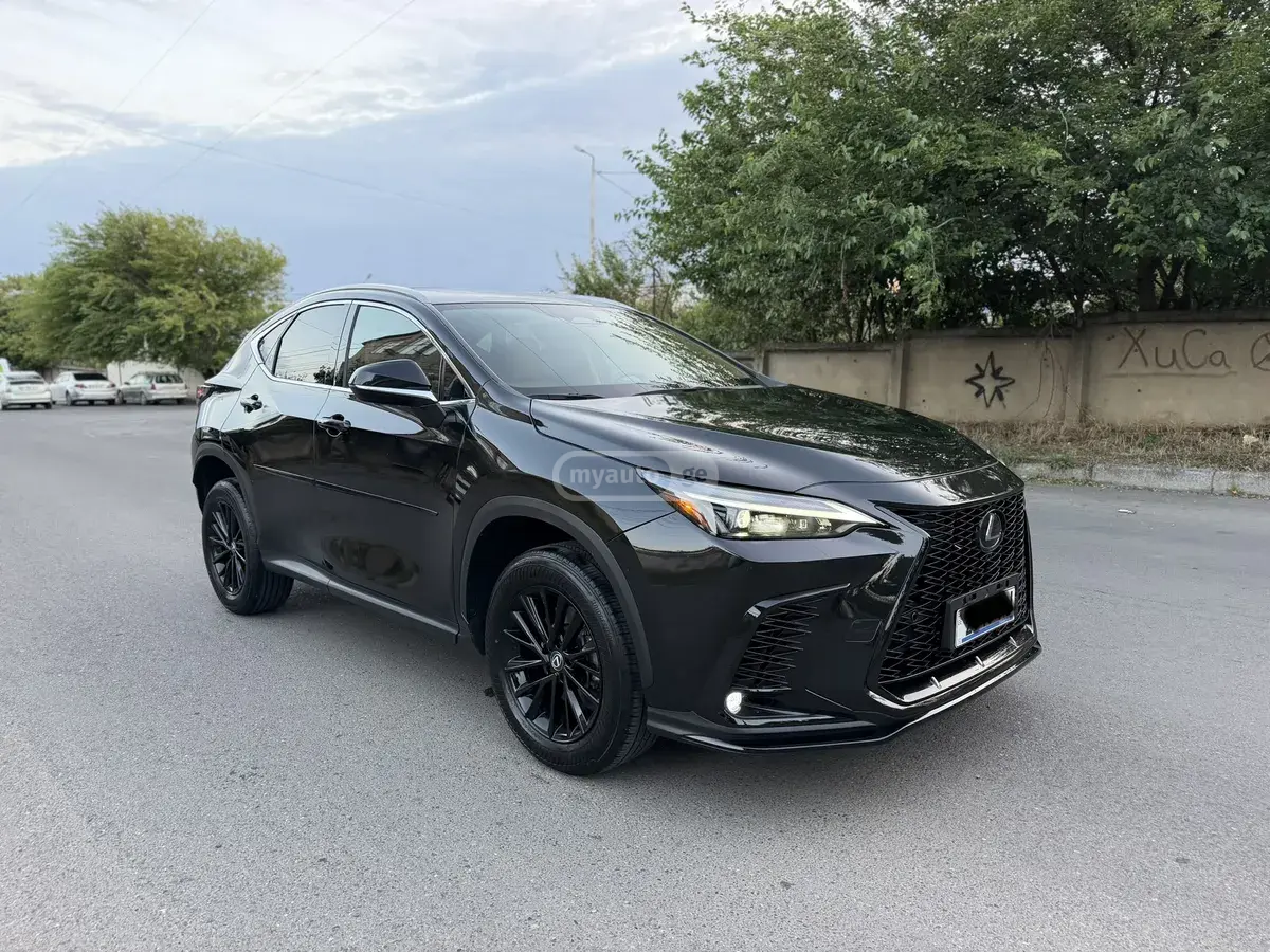 Lexus NX 250 2023 — photo 2
