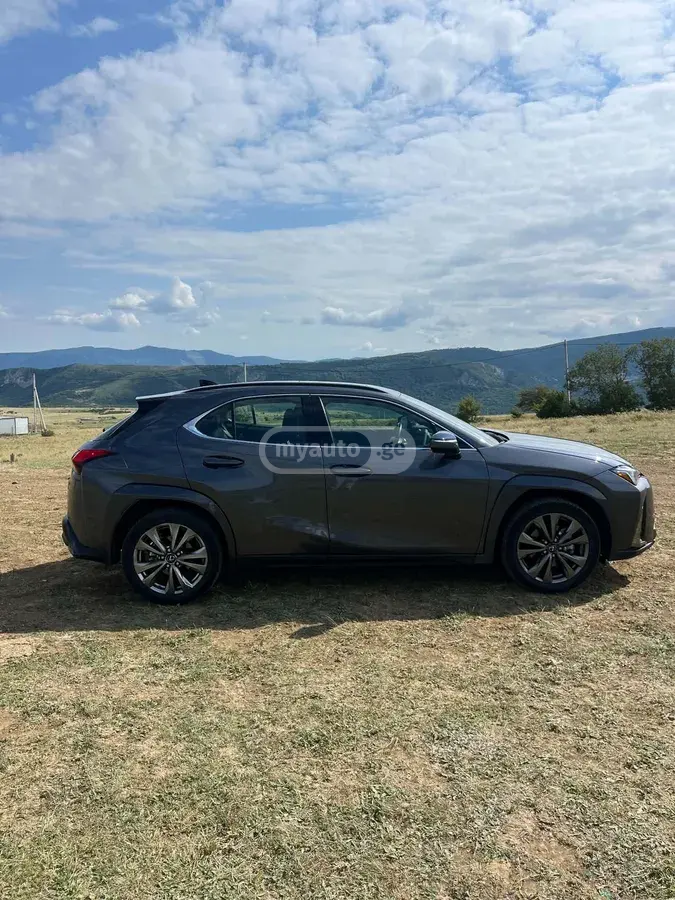 Lexus UX 250 h 2023 — photo 2