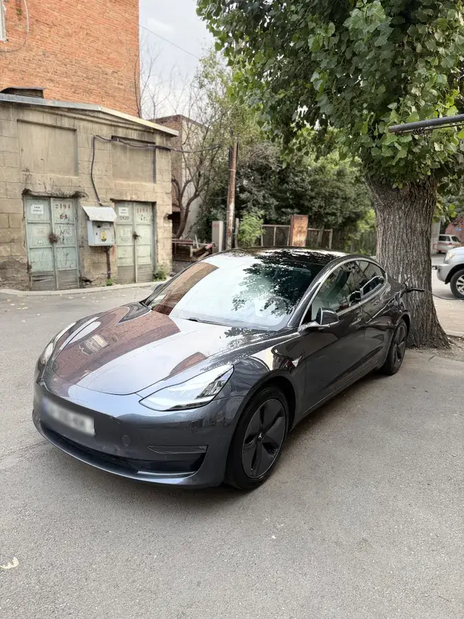 Tesla Model 3 2019 — photo 2
