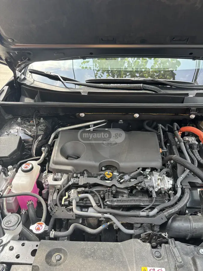 Toyota RAV4 2024 — photo 2