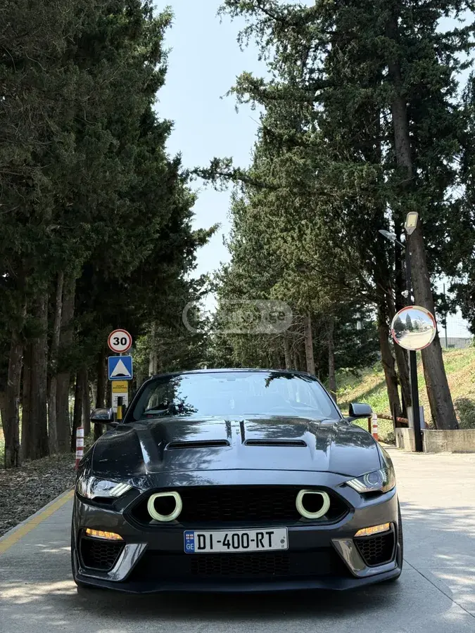 Ford Mustang 2019 — photo 2