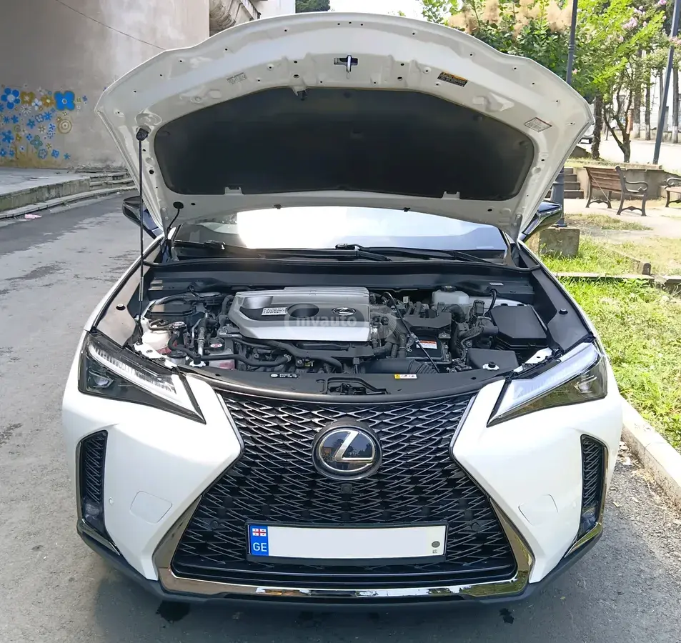Lexus UX 250 h 2021 — photo 2