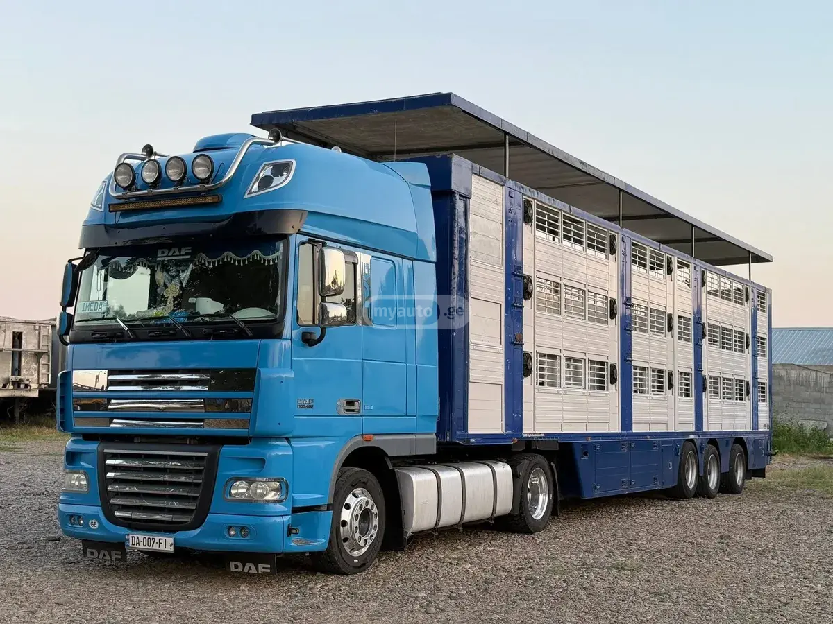 Daf XF 105