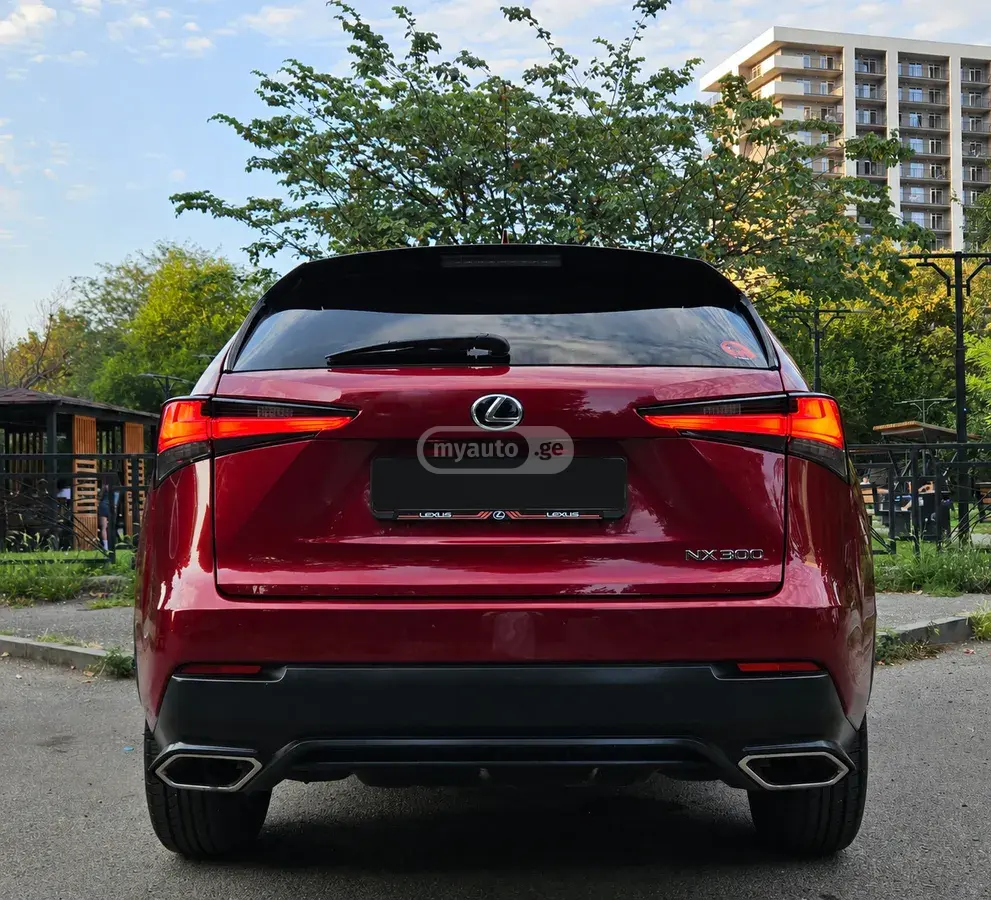 Lexus NX 300 2019 — photo 2