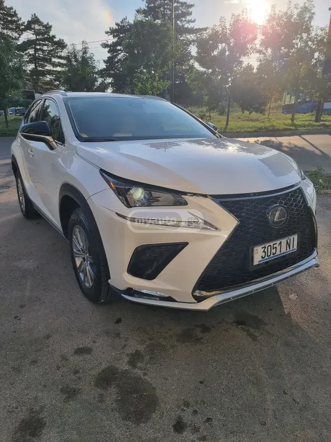 Lexus NX 300 2020 — photo 2