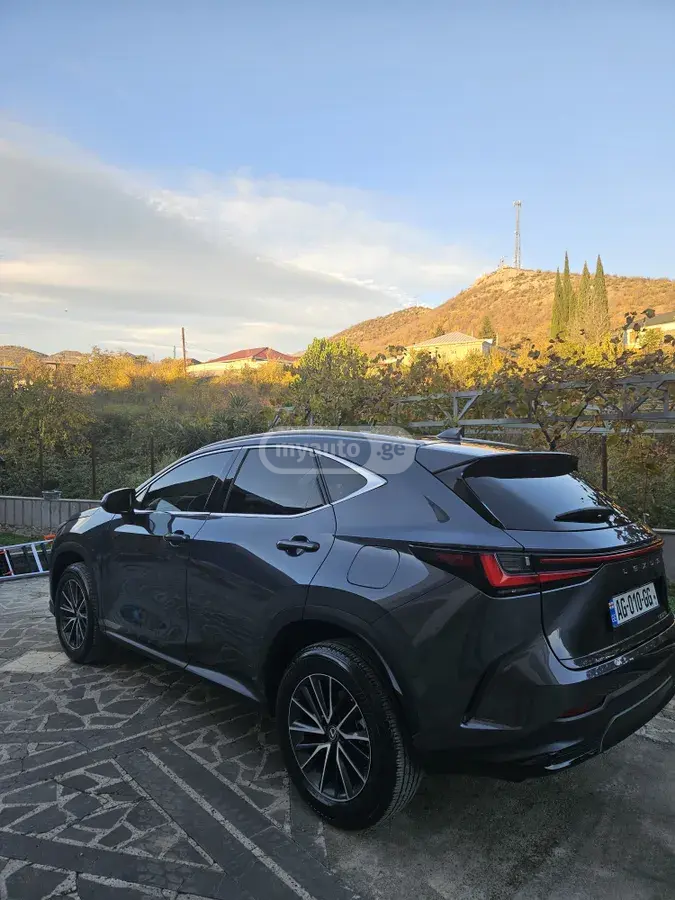Lexus NX 250 2023 — photo 2