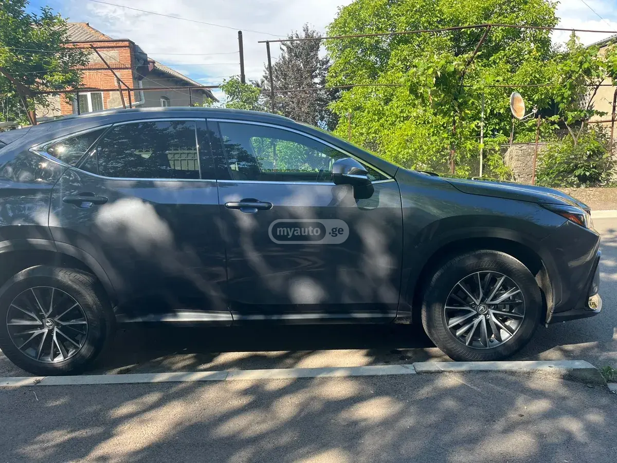 Lexus NX 200 2024 — photo 2