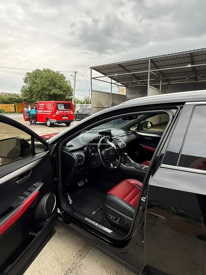 Lexus NX 300 2020 — photo 2