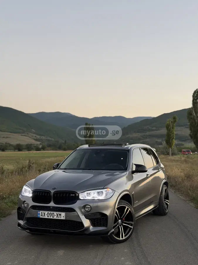 BMW X5