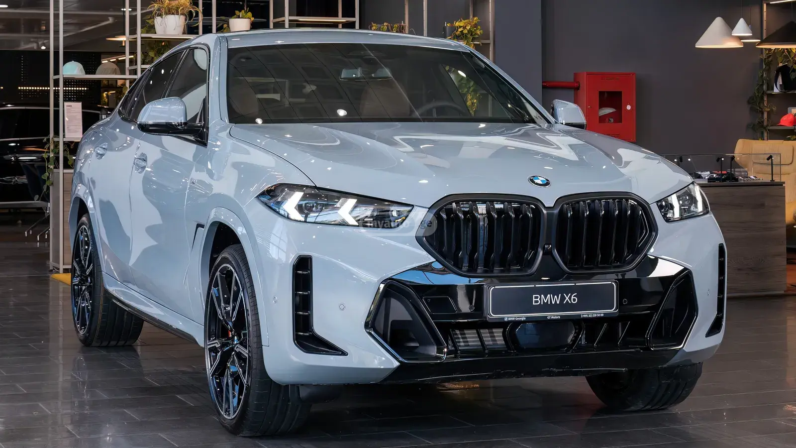 BMW X6