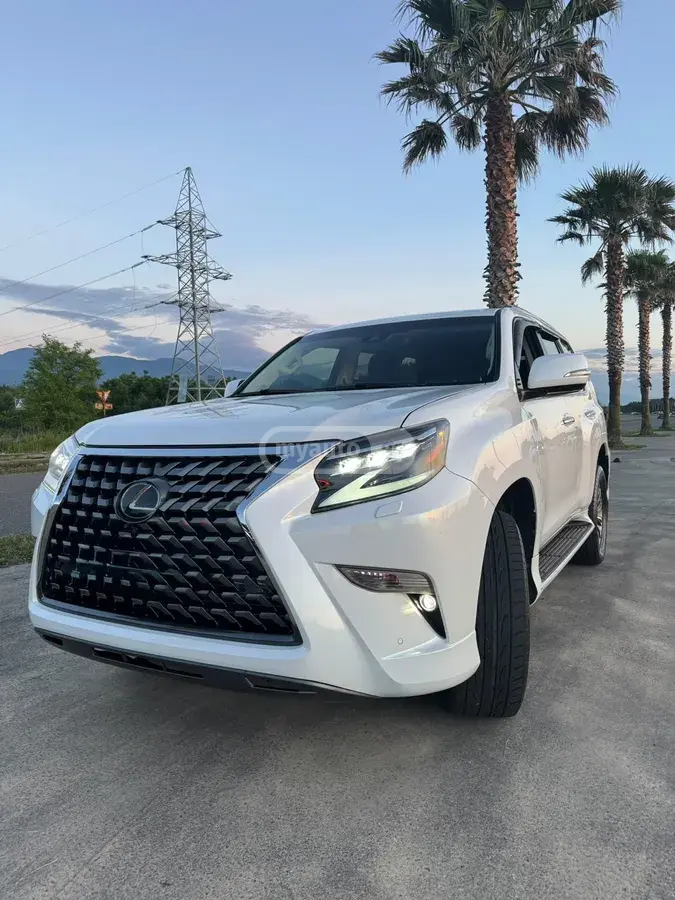 Lexus GX 460 2019 — photo 2