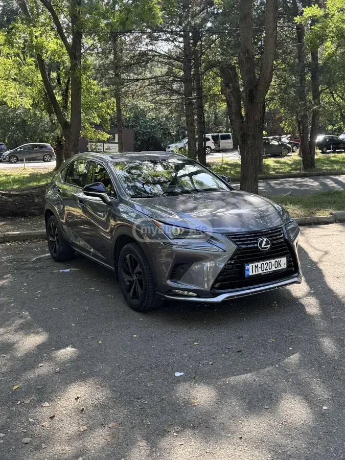 Lexus NX 200 2020 — photo 2