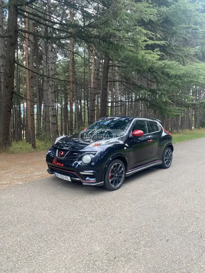 Nissan Juke 2014 — photo 2