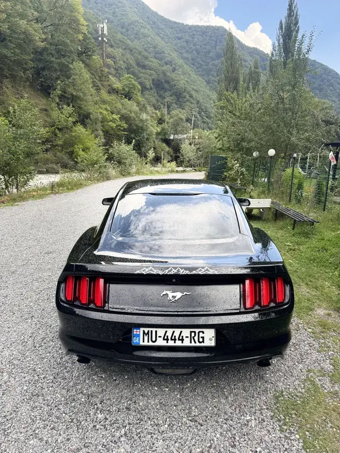 Ford Mustang 2015 — photo 2