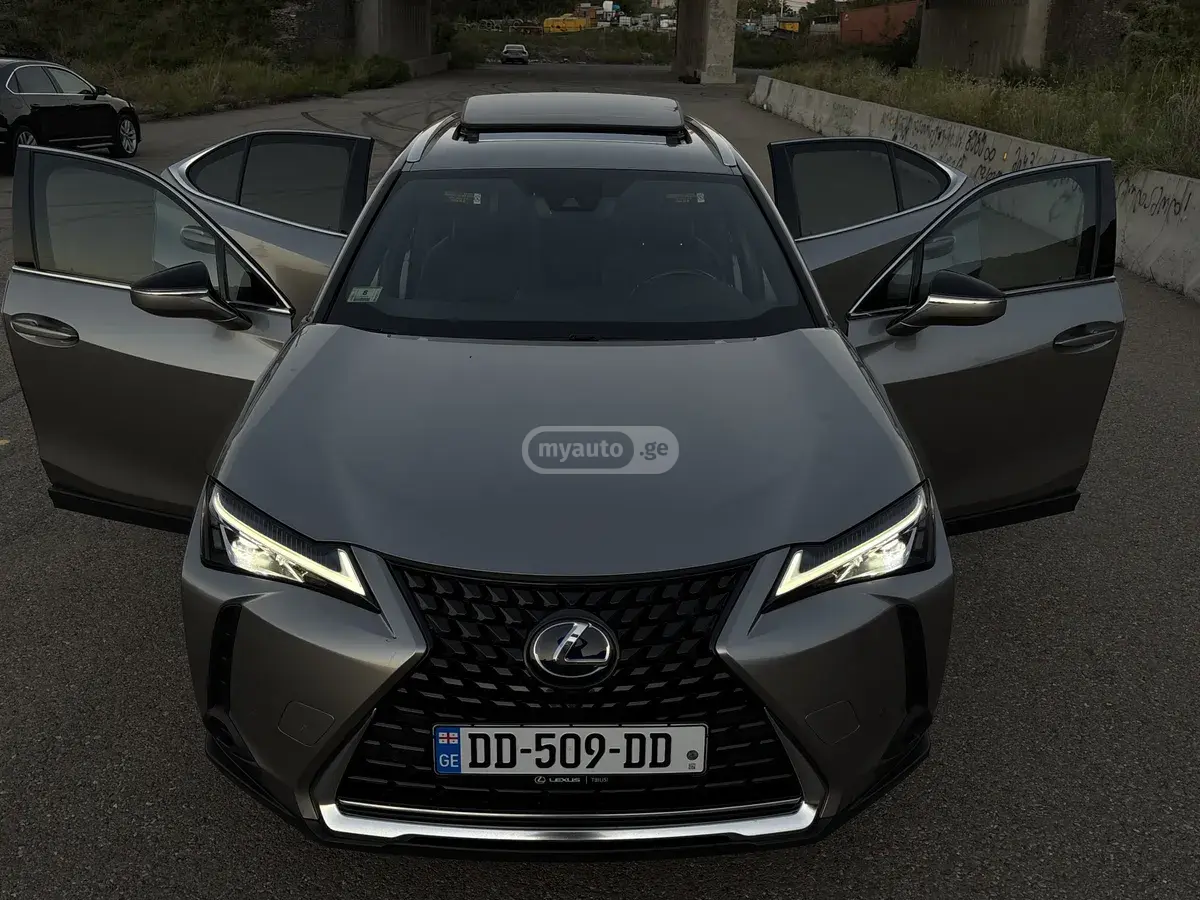 Lexus UX 250 h 2021 — photo 2