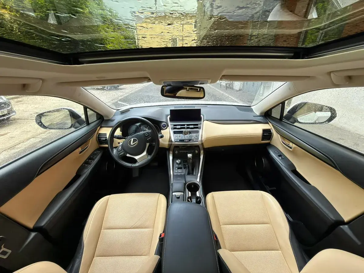 Lexus NX 300 2019 — photo 2