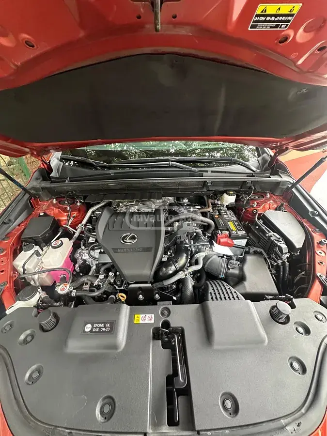 Lexus NX 350 2023 — photo 2
