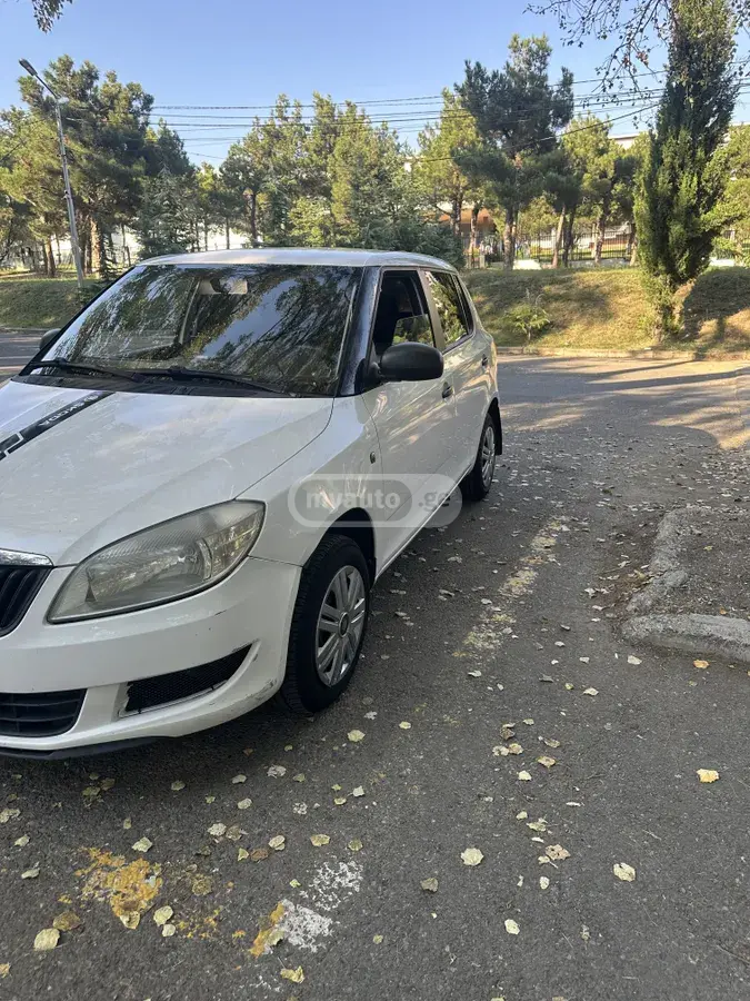 Skoda Fabia 2013 — photo 2