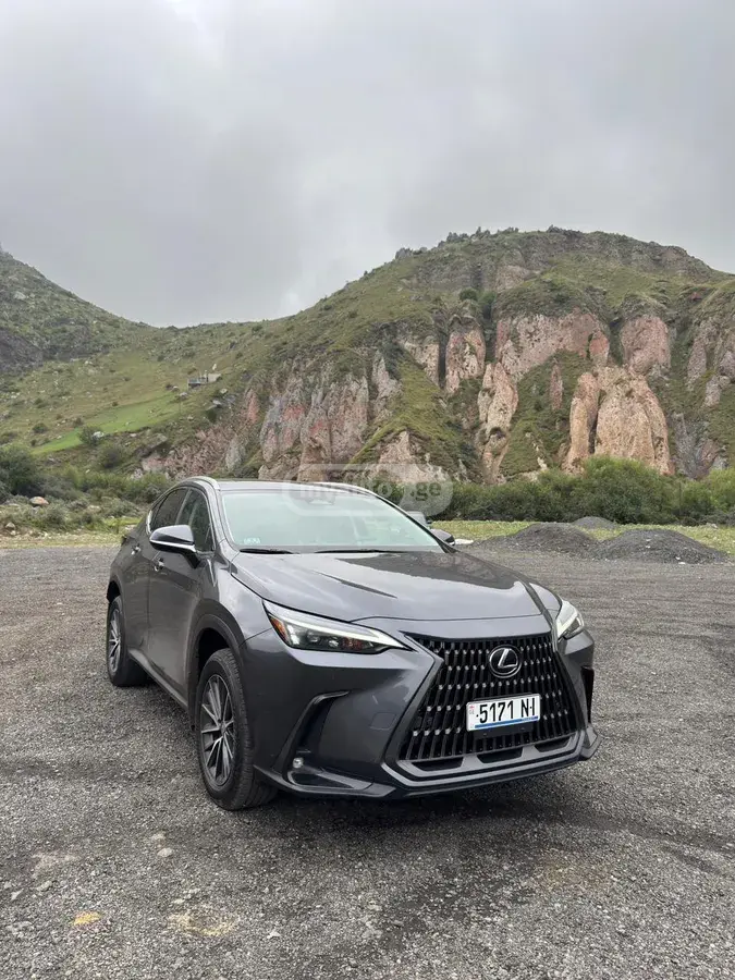 Lexus NX 350 2023 — photo 2