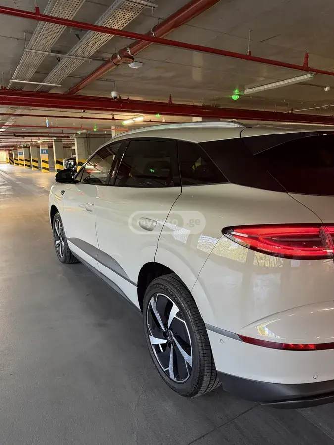 BYD Sealion 06 2025 — photo 2