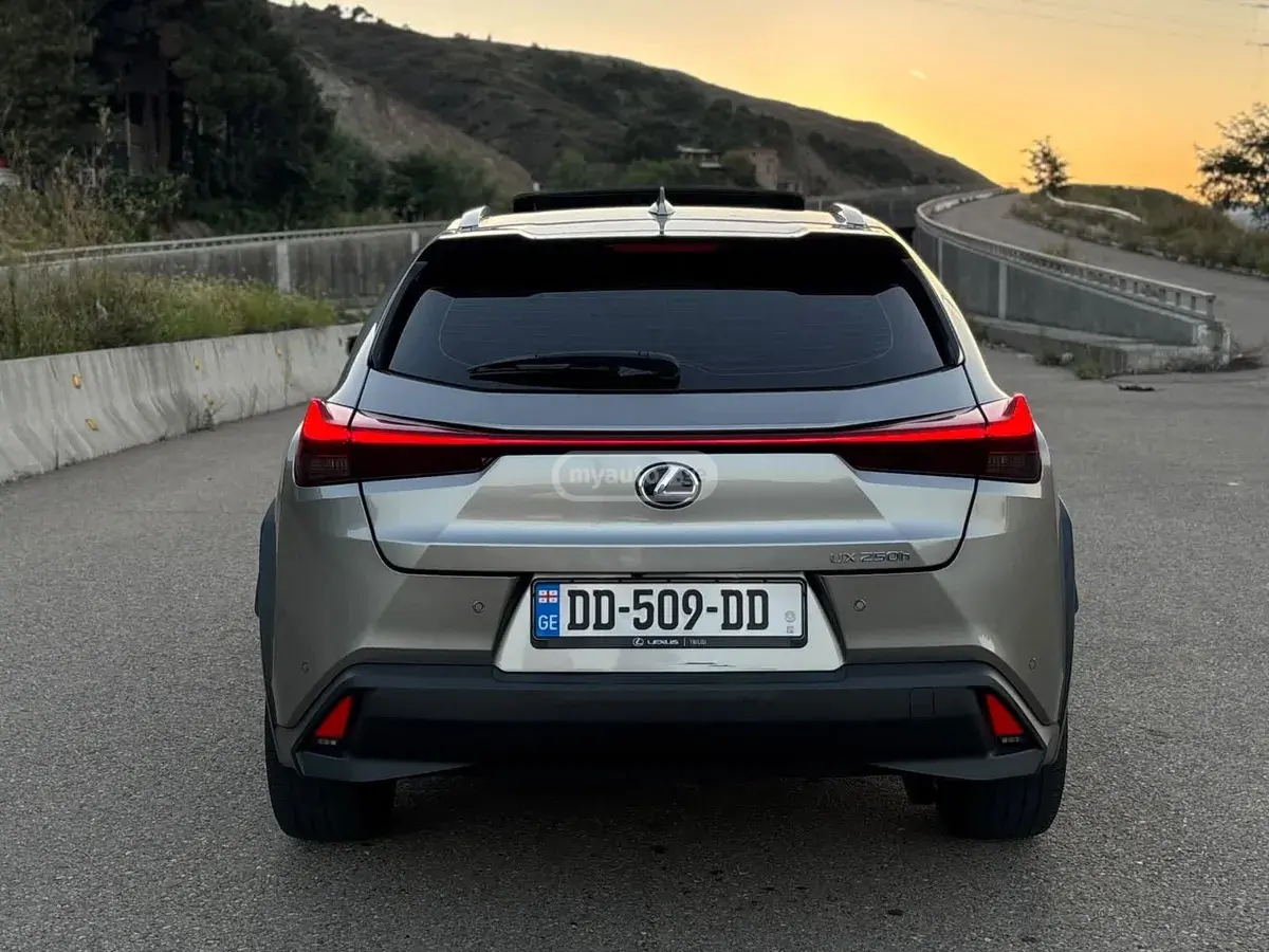Lexus UX 250 h 2021 — photo 2