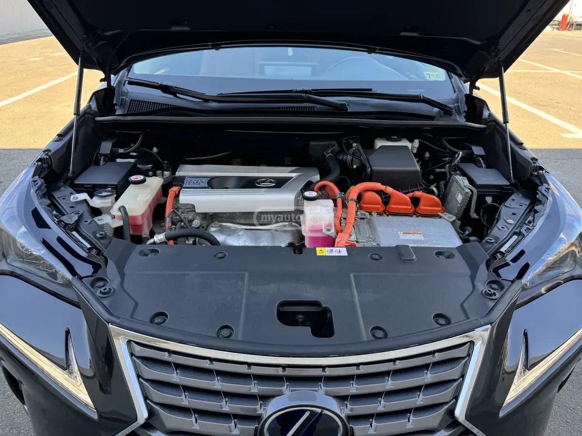 Lexus NX 300 2018 — photo 2