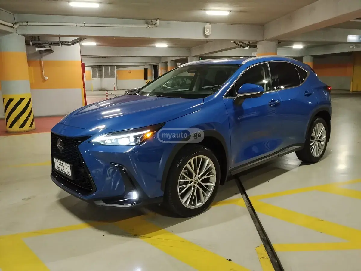 Lexus NX 350 2024 — photo 2