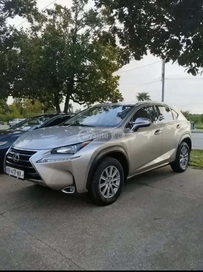 Lexus NX 300 2017 — photo 2
