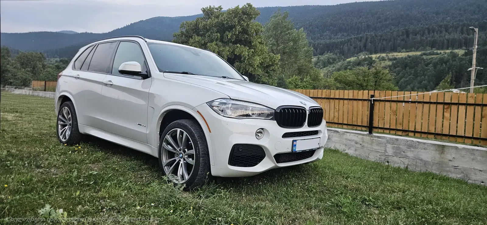 BMW X5