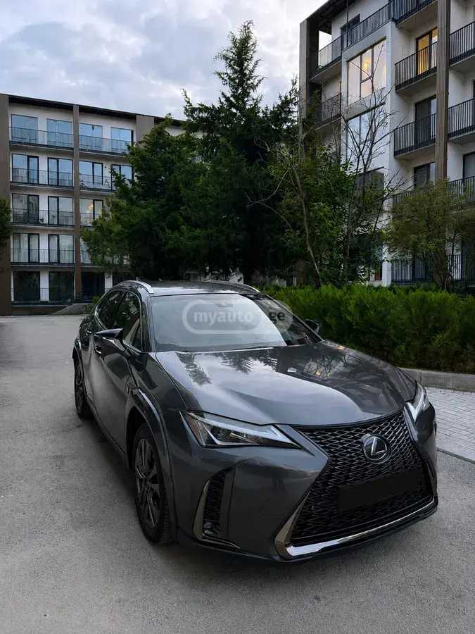 Lexus UX 250 h