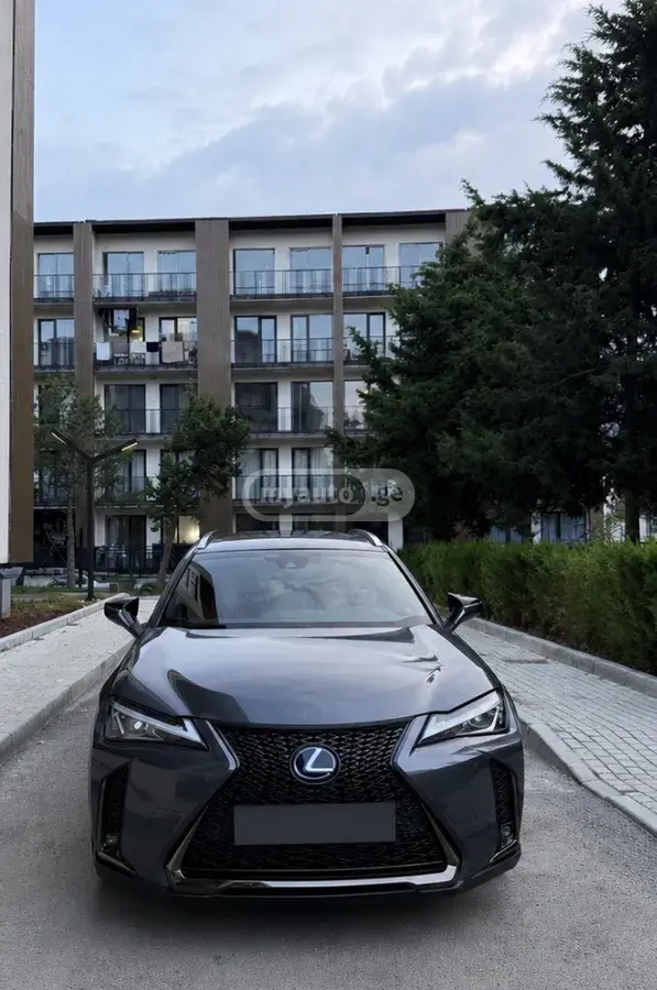 Lexus UX 250 h 2021 — photo 2