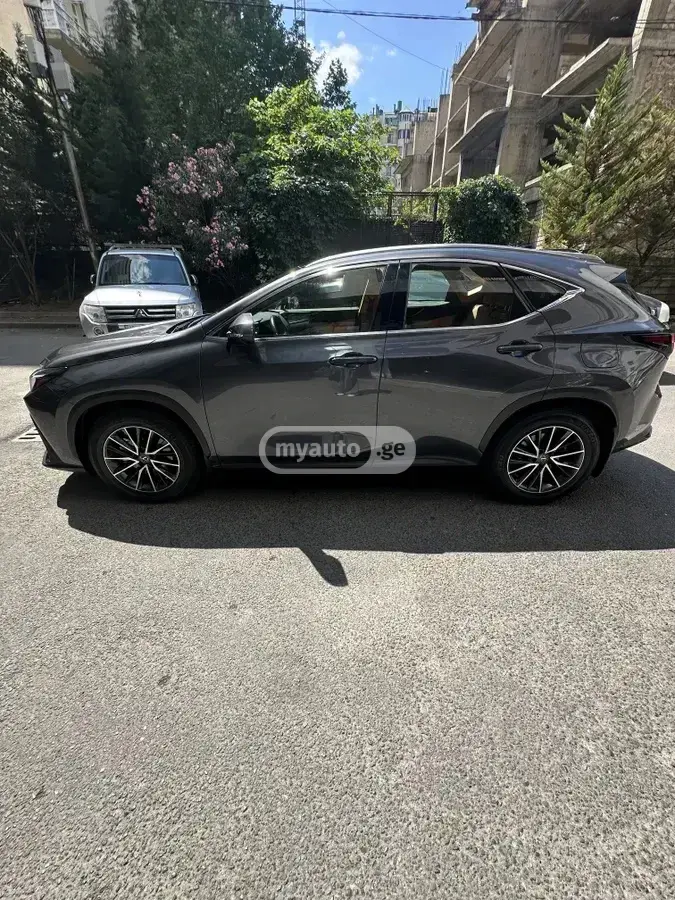 Lexus NX 250 2023 — photo 2