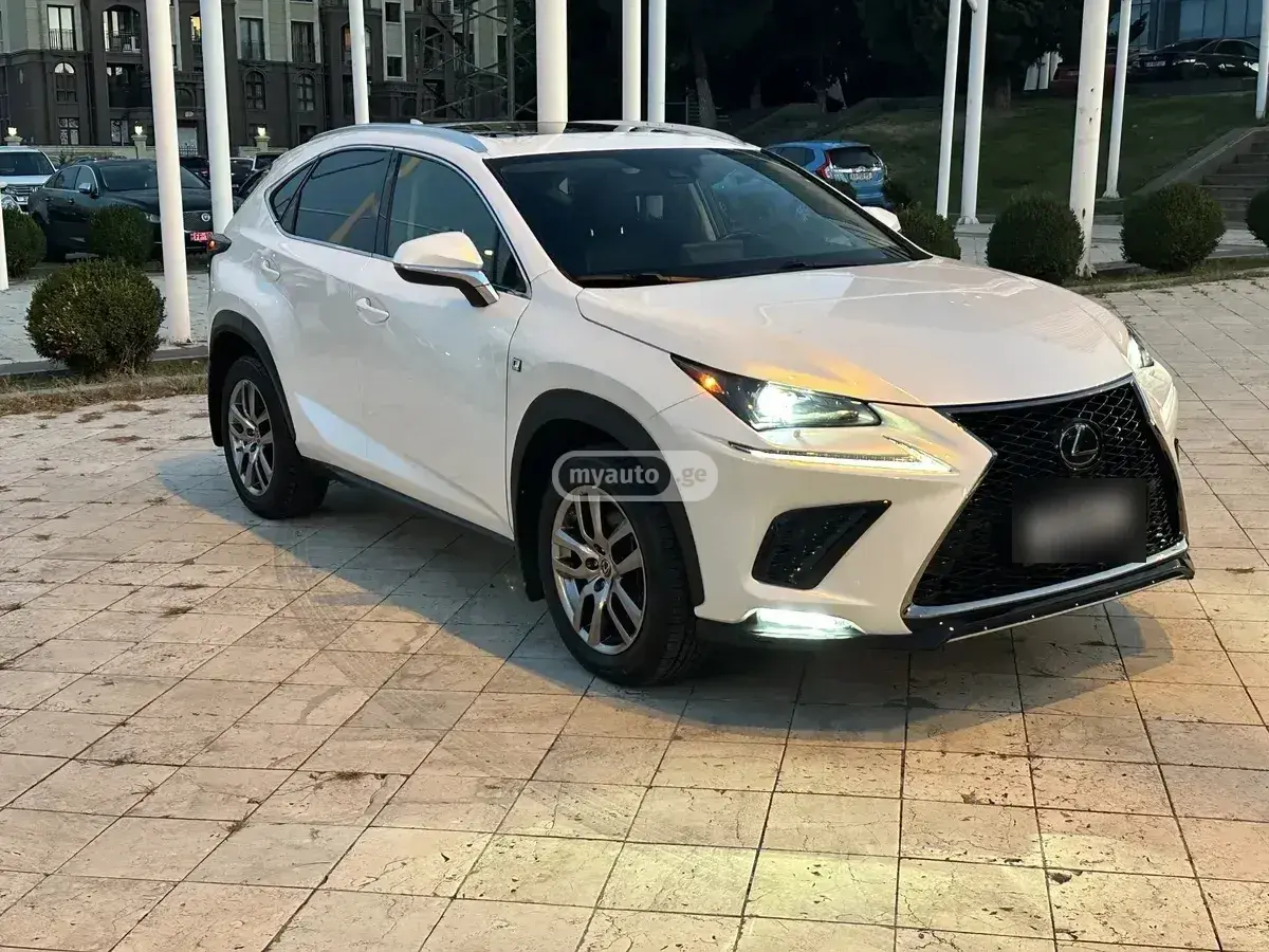 Lexus NX 300 2020 — photo 2