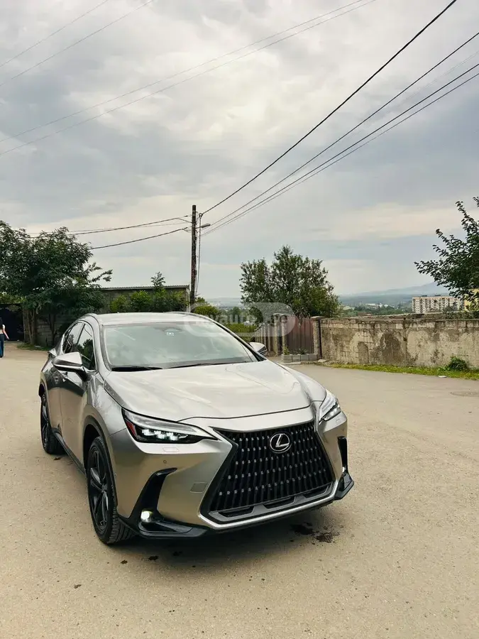 Lexus NX 350 2023 — photo 2