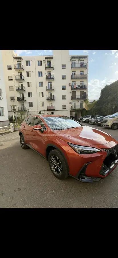Lexus NX 350 2023 — photo 2