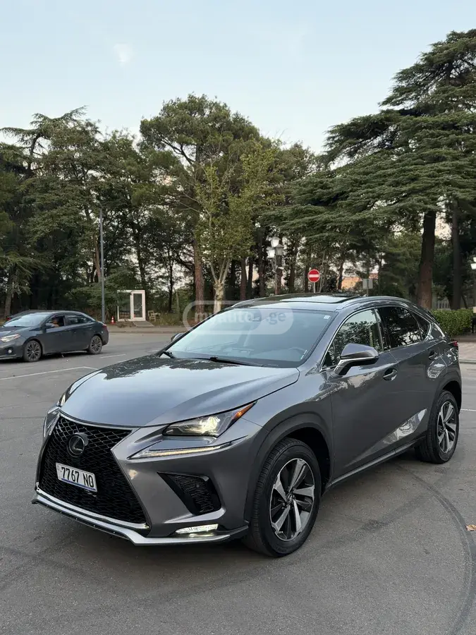 Lexus NX 300