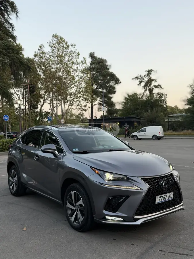Lexus NX 300 2020 — photo 2