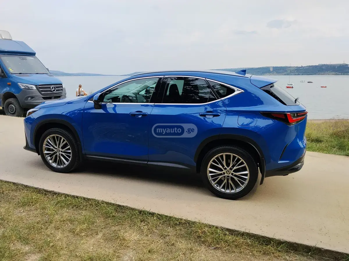 Lexus NX 350 2024 — photo 2