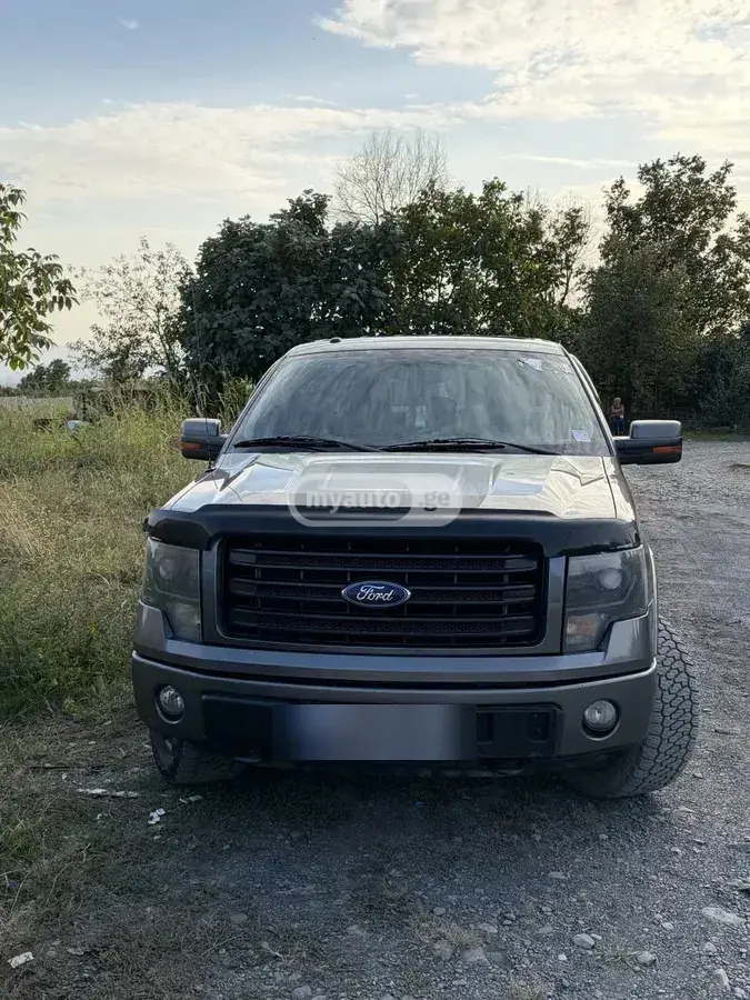Ford F-150 2014 — photo 2