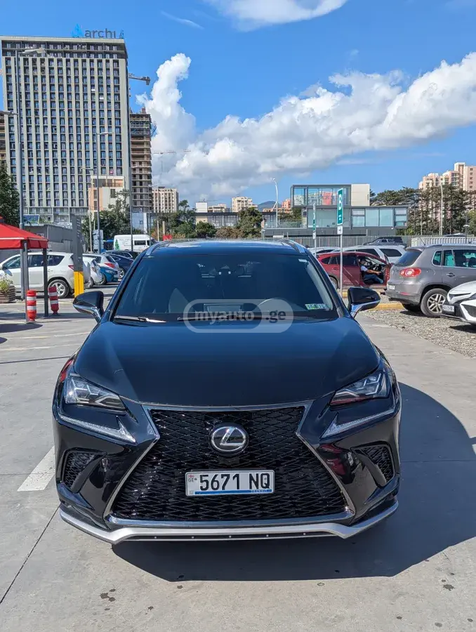 Lexus NX 300 2020 — photo 2